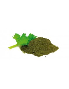 APIO MOLIDO