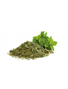 MEJORANA