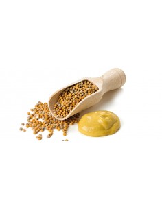 MOSTAZA GRANO