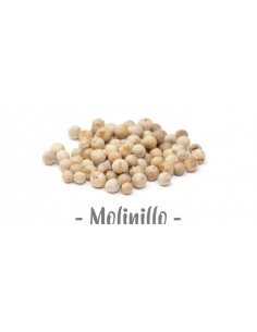 PIMIENTA BLANCA MOLINILLO
