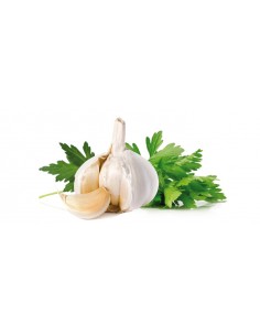 AJO Y PEREJIL