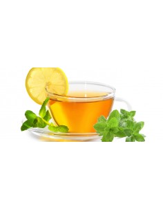 Menta Poleo