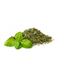 Albahaca